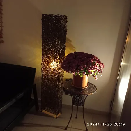 Anamor 408 * Lárnaca