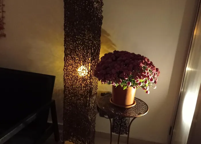 Anamor 408 * Larnaca